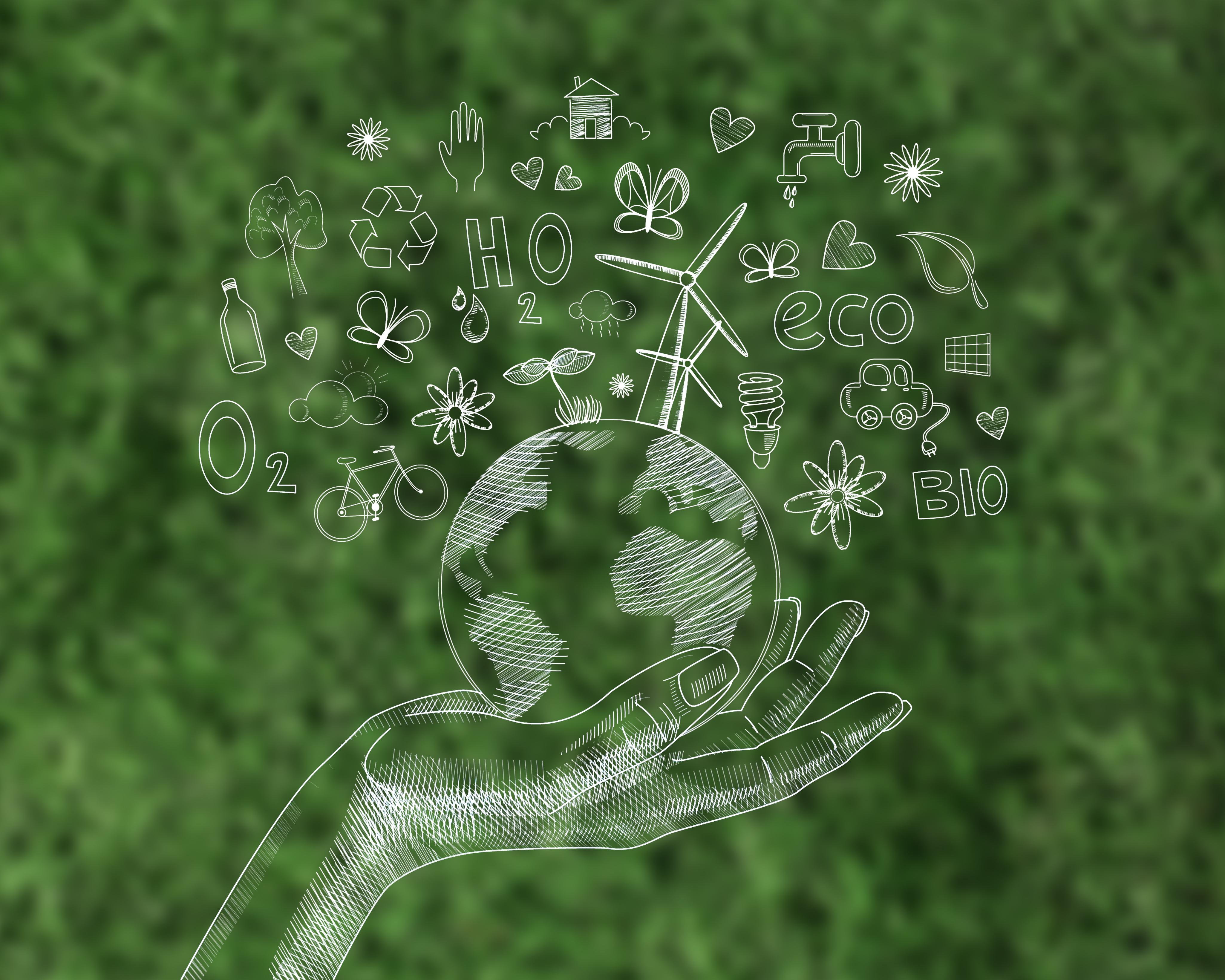 Capacity Building & Knowledge Transfer